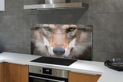 Painel de vidro Olhos de lobo