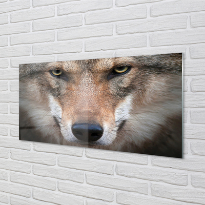 Painel de vidro Olhos de lobo