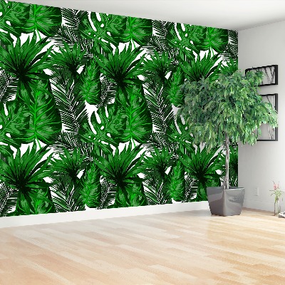 Papel de parede Folhas tropicais