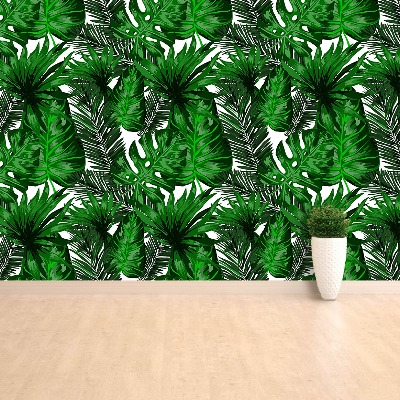 Papel de parede Folhas tropicais