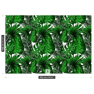 Papel de parede Folhas tropicais