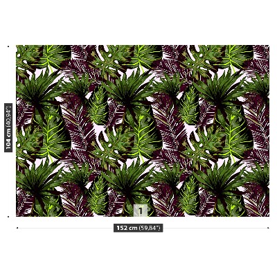 Mural de parede Folhas de Monstera