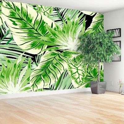 Papel de parede Palmeira Monstera