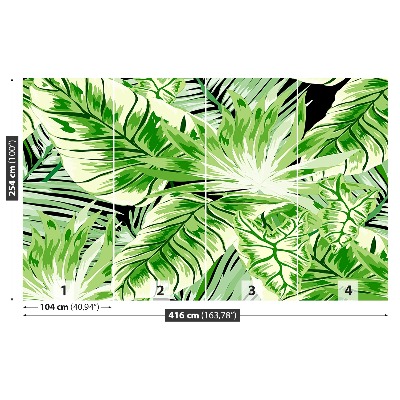 Papel de parede Palmeira Monstera