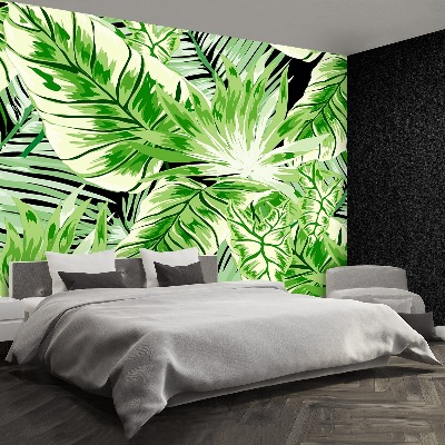 Papel de parede Palmeira Monstera