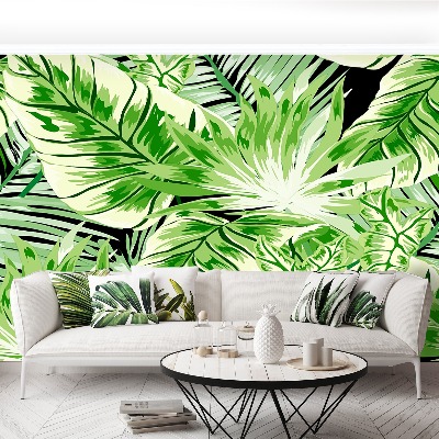 Papel de parede Palmeira Monstera