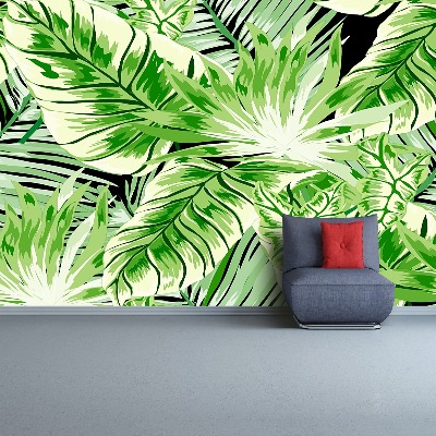 Papel de parede Palmeira Monstera
