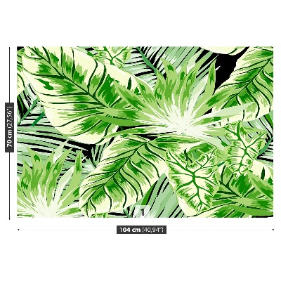 Papel de parede Palmeira Monstera