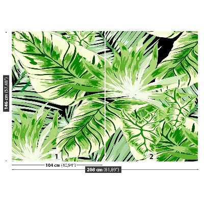 Papel de parede Palmeira Monstera