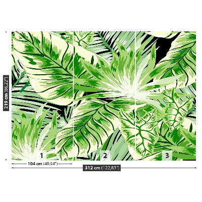 Papel de parede Palmeira Monstera