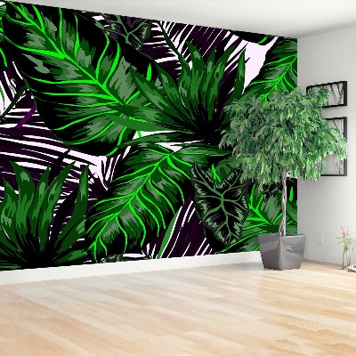 Mural de parede Folhas de Monstera