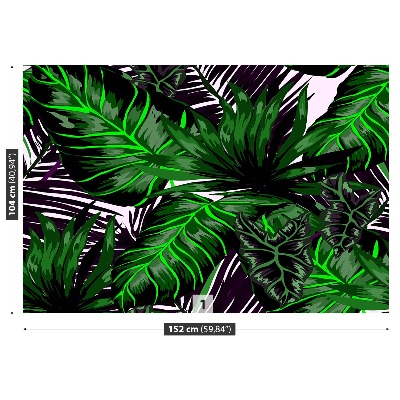 Mural de parede Folhas de Monstera