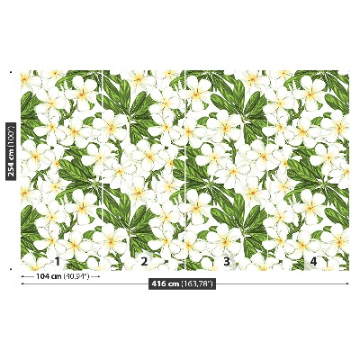 Mural de parede Flores de Plumeria