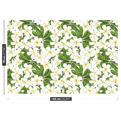 Mural de parede Flores de Plumeria