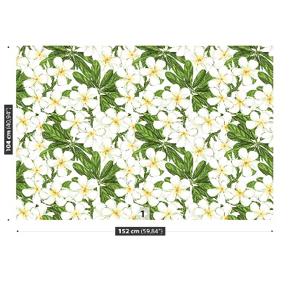 Mural de parede Flores de Plumeria