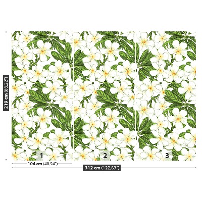 Mural de parede Flores de Plumeria