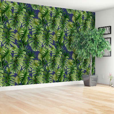 Papel de parede Monstera tropical