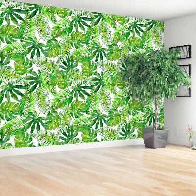 Mural de parede Palmeira Monstera