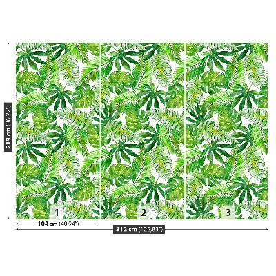 Mural de parede Palmeira Monstera