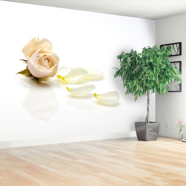 Mural de parede Rosa rosa