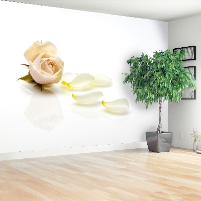 Mural de parede Rosa rosa