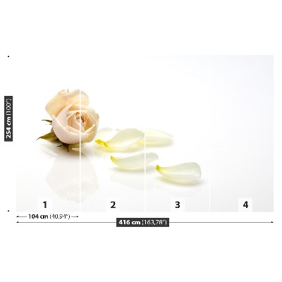 Mural de parede Rosa rosa