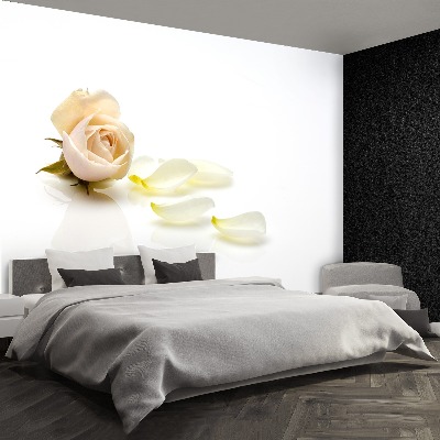 Mural de parede Rosa rosa