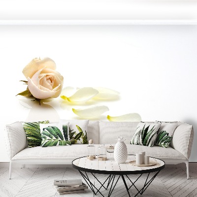 Mural de parede Rosa rosa