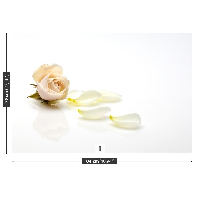 Mural de parede Rosa rosa