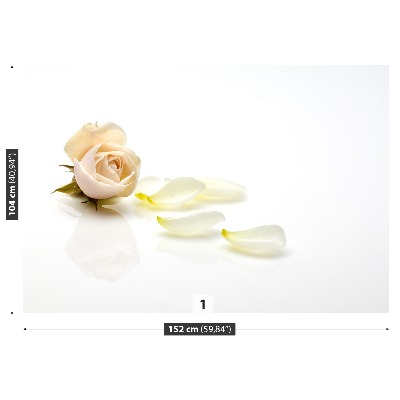 Mural de parede Rosa rosa