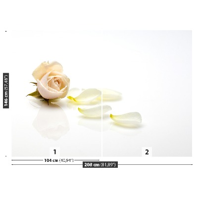 Mural de parede Rosa rosa