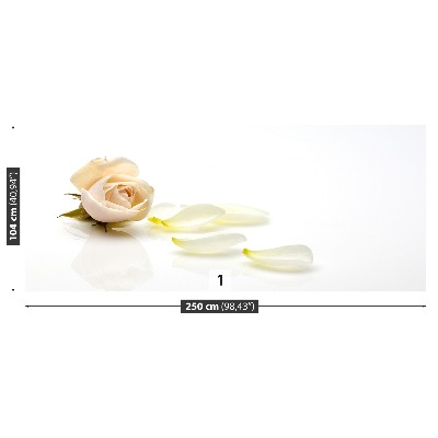 Mural de parede Rosa rosa