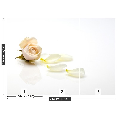 Mural de parede Rosa rosa