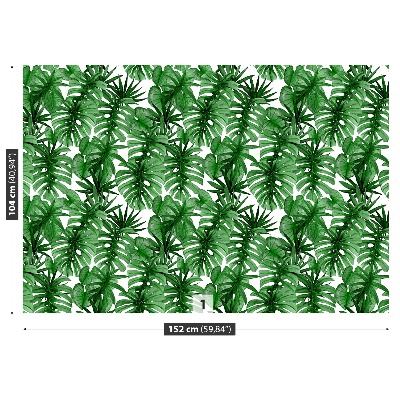 Papel de parede Folhas tropicais