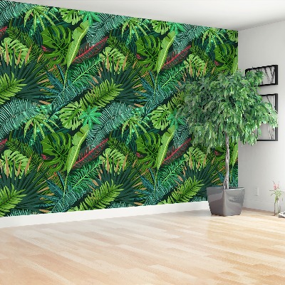 Papel de parede Folhas de palmeira