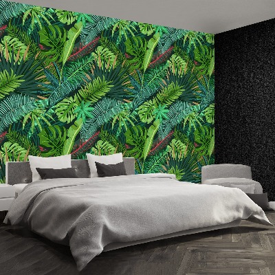 Papel de parede Folhas de palmeira