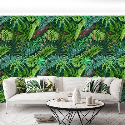 Papel de parede Folhas de palmeira