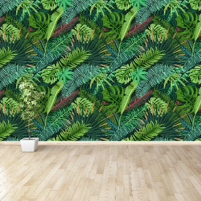 Papel de parede Folhas de palmeira