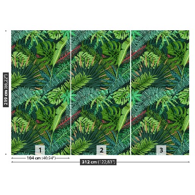 Papel de parede Folhas de palmeira