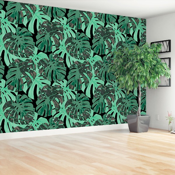 Mural de parede Folhas de Monstera