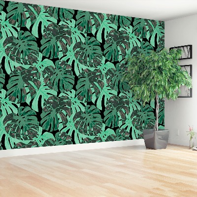 Mural de parede Folhas de Monstera