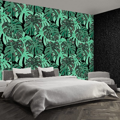 Mural de parede Folhas de Monstera