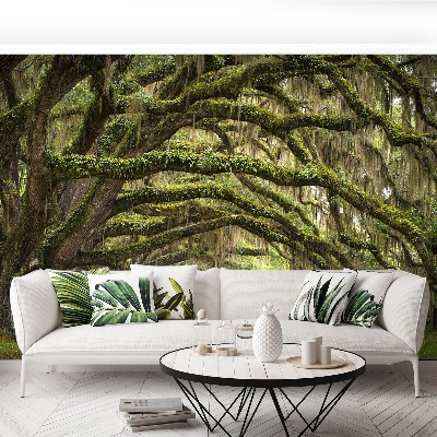 Papel de parede Avenida dos Carvalhos