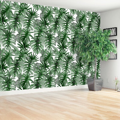 Mural de parede Monstera tropical