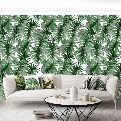 Mural de parede Monstera tropical