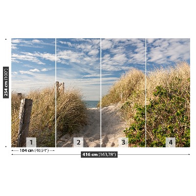 Papel de parede Caminho pelas dunas