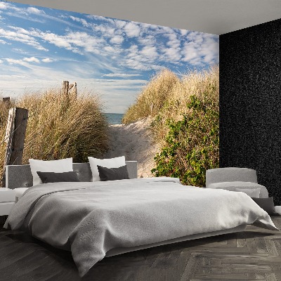 Papel de parede Caminho pelas dunas