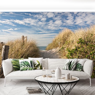 Papel de parede Caminho pelas dunas