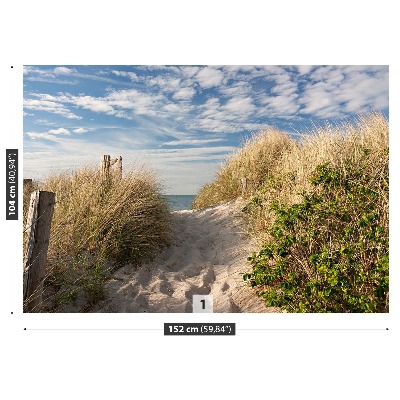 Papel de parede Caminho pelas dunas