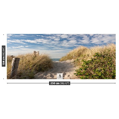 Papel de parede Caminho pelas dunas